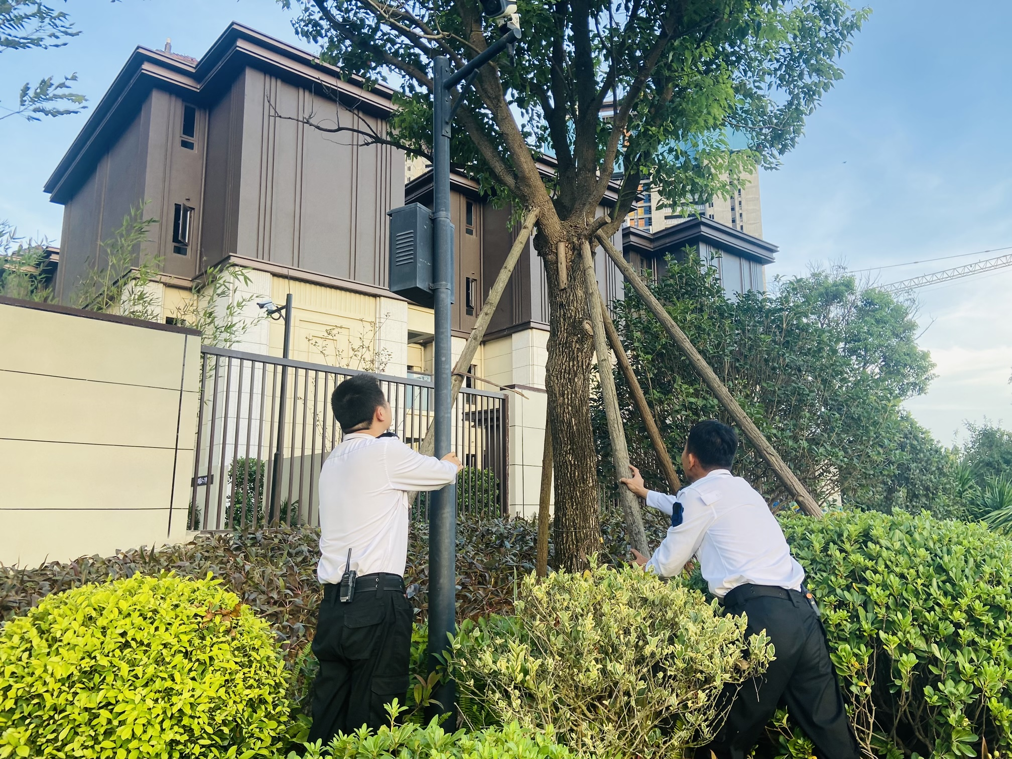 L(fng)Уʷϵڶ(qing)_(ti)L(fng)KǡuI(y)Є(dng)