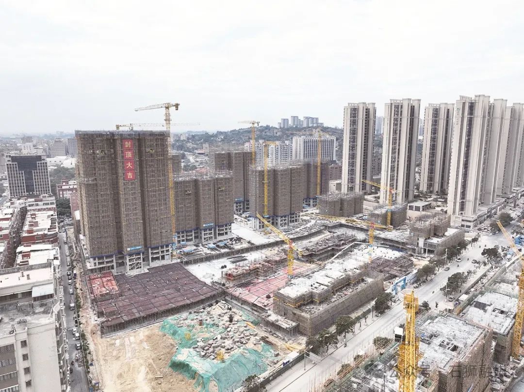 חwY(ji)(gu)픣ʯ{@(g)(xing)ĿӭM(jn)չ