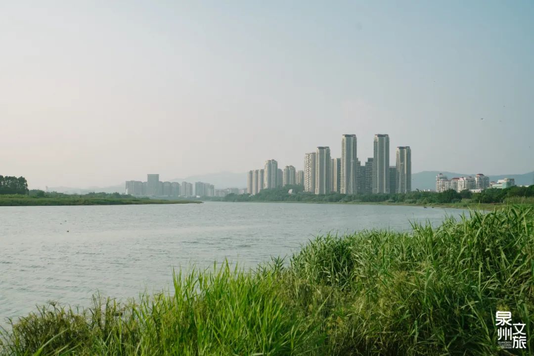 P(gun)ڌʡS312(sh)нͨƵͨ