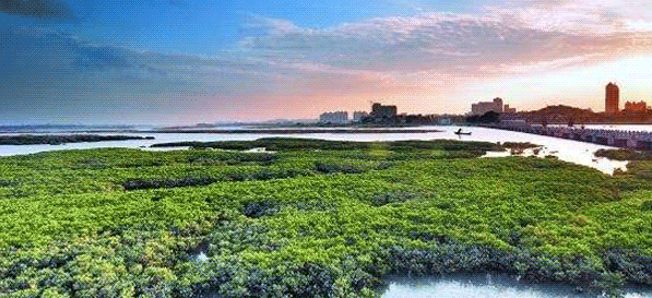 Ϫh٘(zhn)Ƭ^(q)CGC-08؉Ku׌